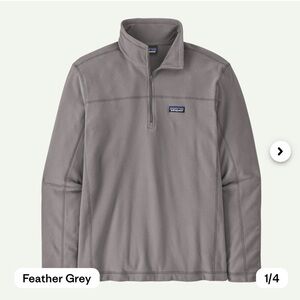 Men's Patagonia Micro D® Fleece Pullover